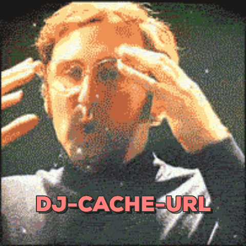 Idea of the day: dj-cache-url